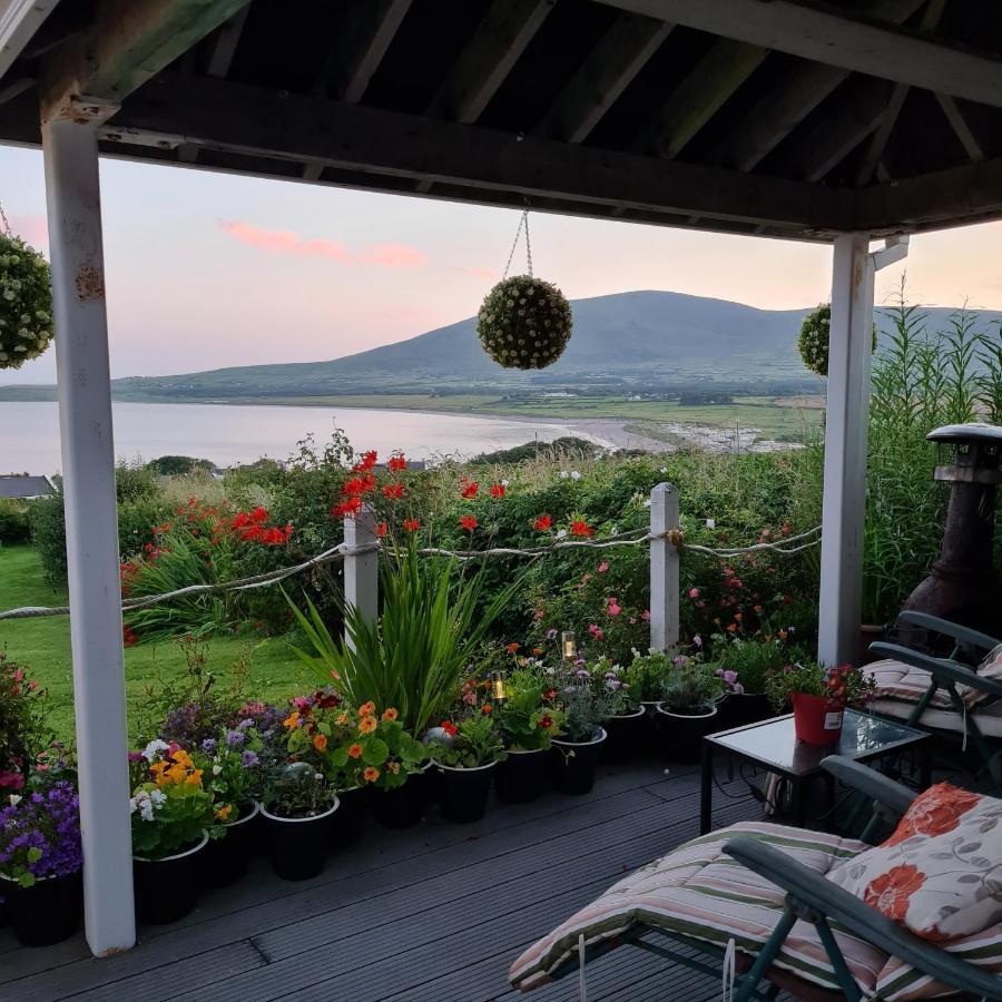 The Plough B&B Ventry Exteriér fotografie