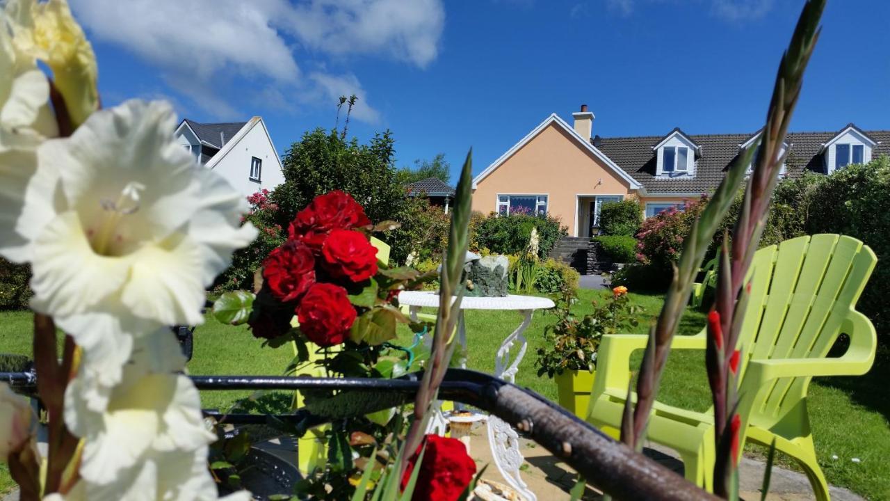 The Plough B&B Ventry Exteriér fotografie