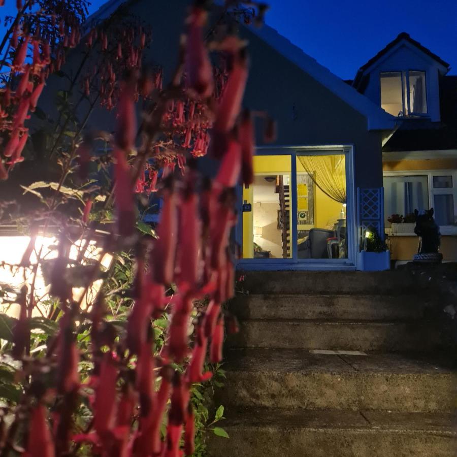 The Plough B&B Ventry Exteriér fotografie