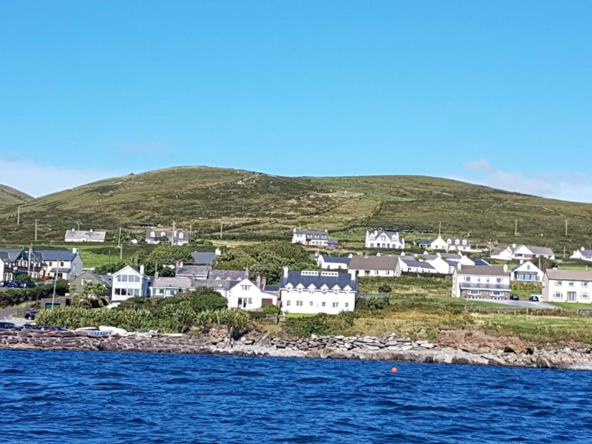 The Plough B&B Ventry Exteriér fotografie