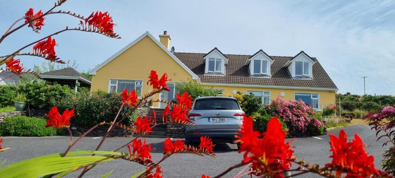 The Plough B&B Ventry Exteriér fotografie