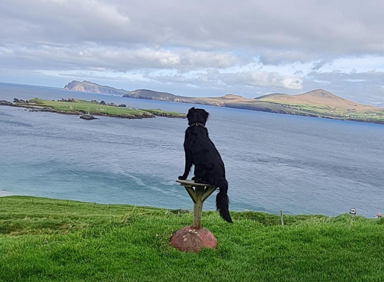 The Plough B&B Ventry Exteriér fotografie