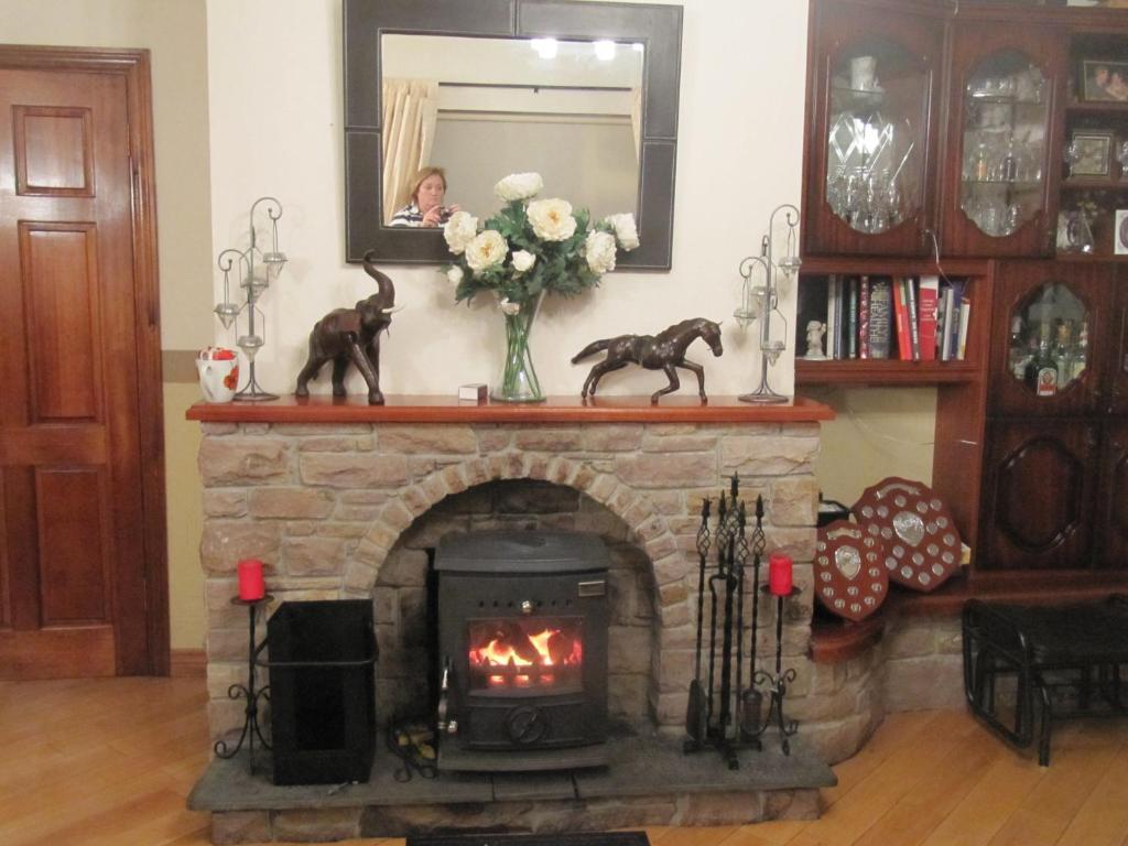 The Plough B&B Ventry Exteriér fotografie