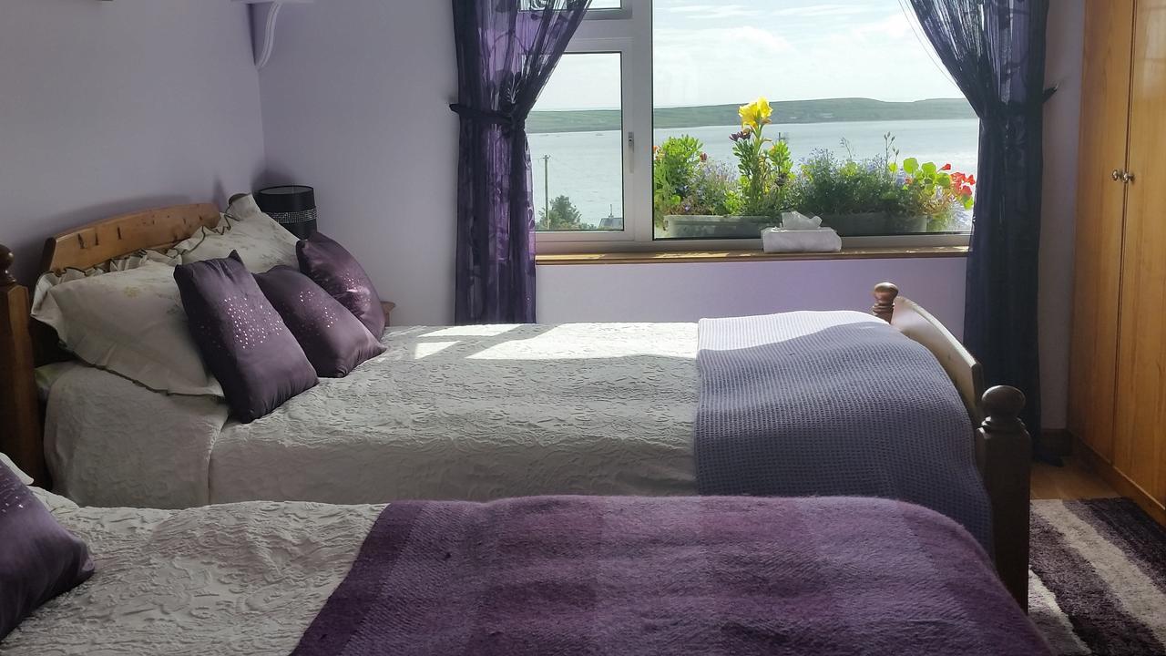 The Plough B&B Ventry Exteriér fotografie